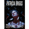 Dlouhé ticho - Briggs Patricia