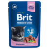 Brit Premium (VAFO Praha s.r.o.) Brit Premium Cat Pouches with Fish Kitten 100 g