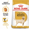 Royal Canin Labrador Retriever Adult 3 kg