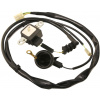 Orig. diel 30300-MY5-003 - snímač iskry (GENERATOR ASSY., PULSE), p