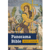 Panorama Bible Nový zákon - Stephen J Binz