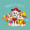 Carbotex detský lisovaný bavlnený uterák 30 x 30 cm Paw Patrol
