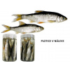 ESOX Plotice v náleve (10ks)