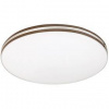 LED stropné svietidlo Rabalux OSCAR 2 71173 (71173) hnedé
