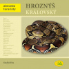 Hroznýš královský - Ondřej Hes