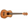 CASCHA HH 2048 Tenor Mahogany Ukulele Set