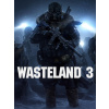 inXile Entertainment Wasteland 3 (PC) Steam Key 10000192444007