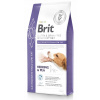 Brit VD Dog GF Gastrointestinal-Low fat 12 kg