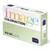 Jungle Coloraction A4 80 g/m2 500 listů
