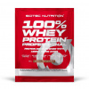 Scitec Nutrition 100% Whey Protein Professional, 30 g Příchuť: Bílá čokoláda/Jahoda