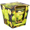 ARÔME Zelené jablko 120 g