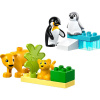 LEGO® DUPLO® 10442 Rodinky divokých zvierat: Tučniaky a levy