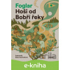 E-kniha Hoši od Bobří řeky - Jaroslav Foglar, Ester Kuchynková (ilustrácie)