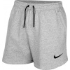 Nike Nike Park 20 Short CW6963-063 šedá L