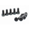 Skrutka s valcovou hlavou Pro Bolt M6X1.00 mm 10 mm hliník