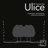 Ulice (Dominik Aleš)