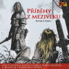 Příběhy z mezivěku (Patrick Gab) - CD (MP3)