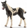 Schleich Farm Life Pinto Fohlen