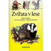 Zvířata v lese