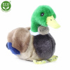 Rappa Plyšová kačica 20 cm ECO-FRIENDLY