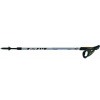 Fizan nordic walking paličky NW SPEED | farba: černá, model 2020