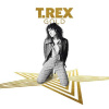 T.Rex (Tyrannosaurus Rex): Zlatá - Demon - (CD / Názov: A-G)