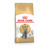 Royal Canin British Shorthair Adult 4 kg