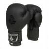 DBX Bushido B-2V12 10 oz boxerské rukavice (Bushido Boxing Boxing Rukavice kickbox 10oz)