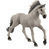 Schleich 13915 hřebec Sorraia Mustang