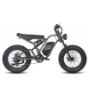 Fafrees elektrický bicykel F20 Ultra Farba: Gunmetal Čierna