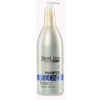 Stapiz Sleek Line Blond Shampoo šampón na poškodené farbené vlasy 1000 ml