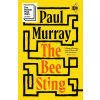 The Bee Sting - Paul Murray