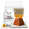 PUI PURINA Gourmet Revelations Chunks in jelly with chicken - mokré krmivo pre mačky - 2x57g