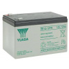 Yuasa RE12-12FR olověný akumulátor 12 V 12 Ah olověný se skelným rounem (š x v x h) 151 x 98 x 98 mm nepatrné vybíjení