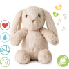 Cloud B Cloud b® Love Light Buddies - Billy Bunny ™ Nočné svetielko s melódiou, Zajko, 0m+