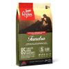 Orijen Dog Tundra 6 kg