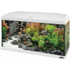 CAPRI 80 LED WHITE AQUARIUM (CAPRI 80 LED WHITE AQUARIUM)