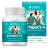 LIFTEA Kombucha pamäť a koncentrácia 60 kapsúl