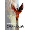 Tajemný soused - Monika J. Čapková