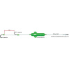 MADCAT Screaming Basic River Rig „Worm & Squid“ L 60g 160cm