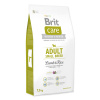 BRIT Care Dog Adult Small Breed Lamb & Rice 7,5 kg