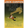 The Key That Swallowed Joey Pigza (Gantos Jack)