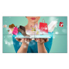 55'' D-LED Philips 55BDL2105X-FHD,IPS,500cd,24/7