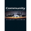Community - Seeking Safety in an Insecure World (Zygmunt Bauman)()