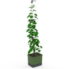 Gusta Garden GG-143C10