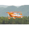 Pilot RC 87