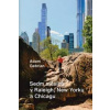 Sedm měsíců v Raleigh, New Yorku a Chicagu - Adam Gebrian