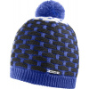 Čiapka Salomon Poly 16/17 violet/black/white