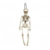 SKELETON - KOSTRA - kostlivec na zavesenie 40 cm- Halloween