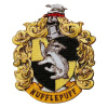 Nažehľovačka Monoquick - HARRY POTTER© ZNAK MRZIMOR